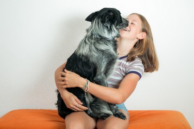 Sheepdog licking face of young woman