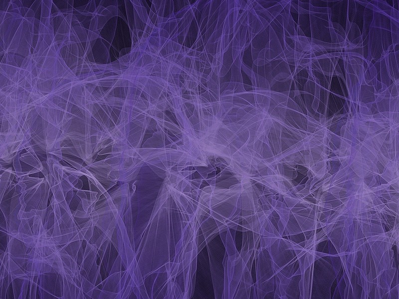 A complex web of thin purple lines.